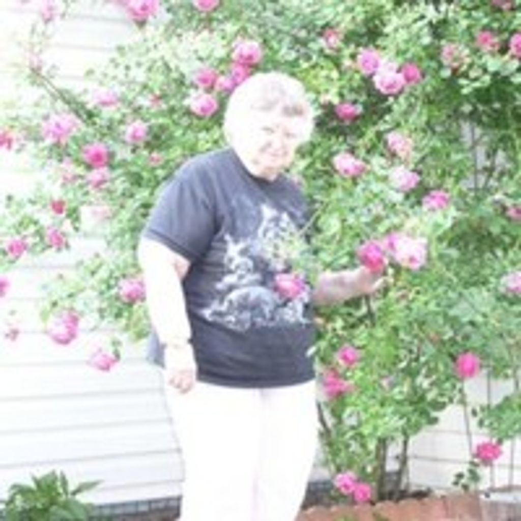Doris L (Morder) Storrs