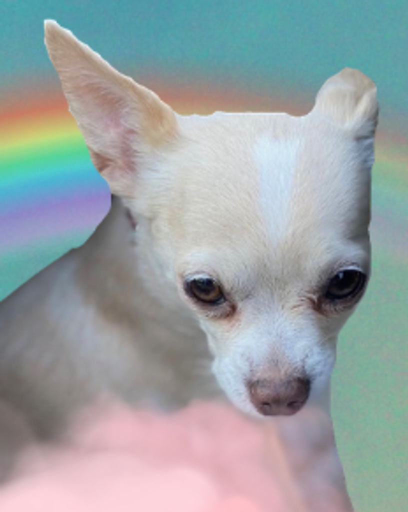 Beverly Moton Profile Photo