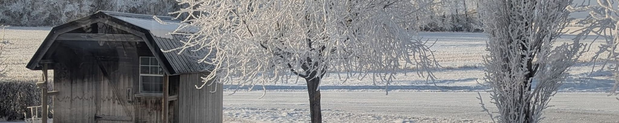 Cover for Thomas Lee Peachey Sr.'s Obituary