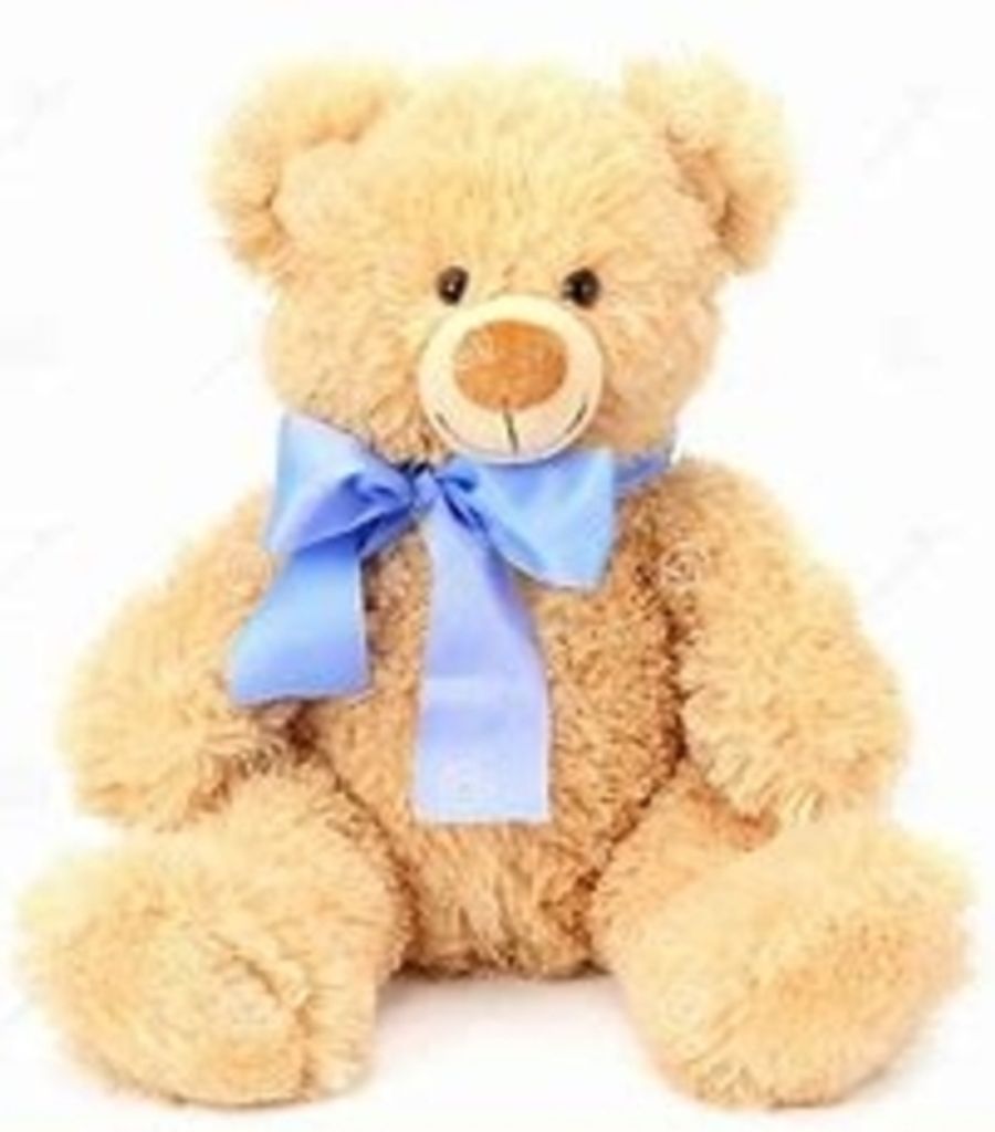 Forrest Crutchley Profile Photo