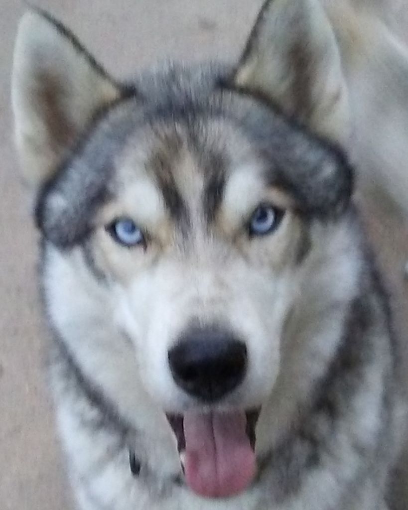 Jax Simpson Profile Photo