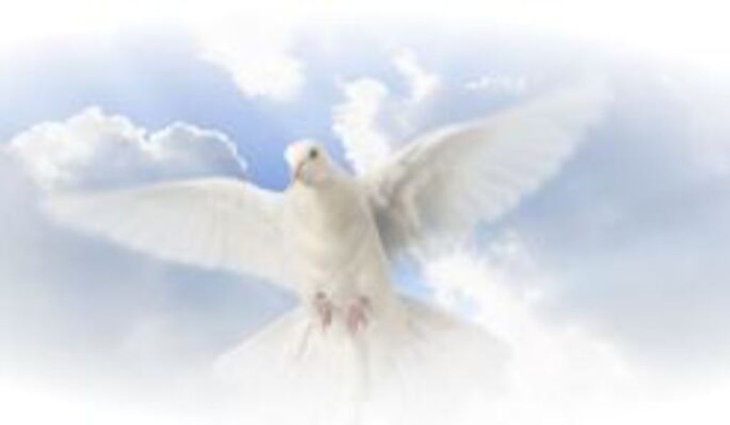 Francisco Javier Camarena Profile Photo