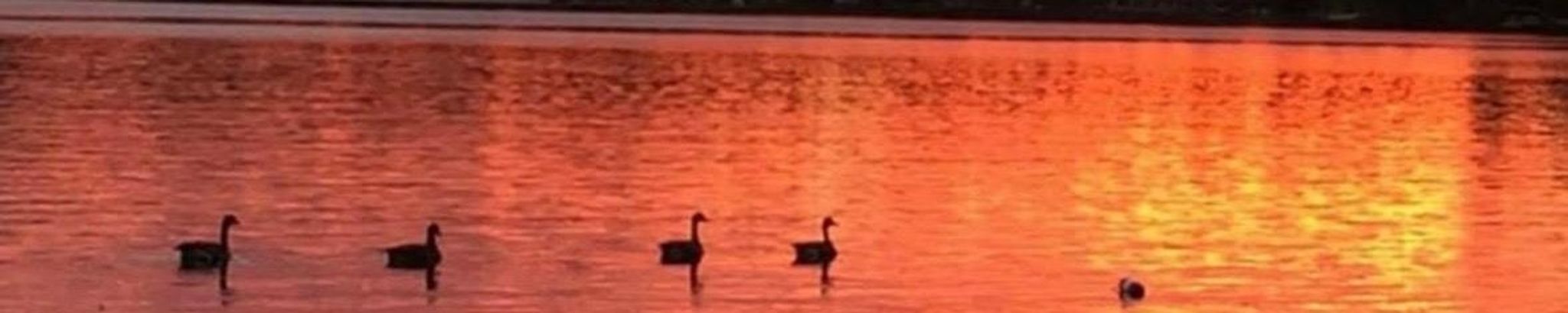 Cover for Maureen F. (Henry) Loan's Obituary