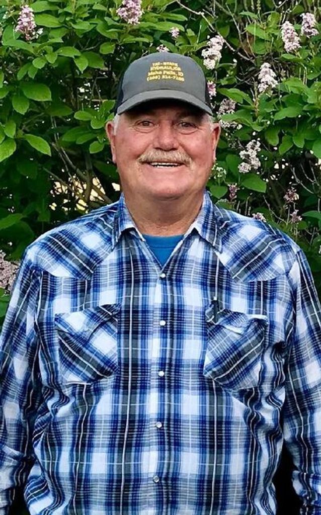 Mike Davis Profile Photo