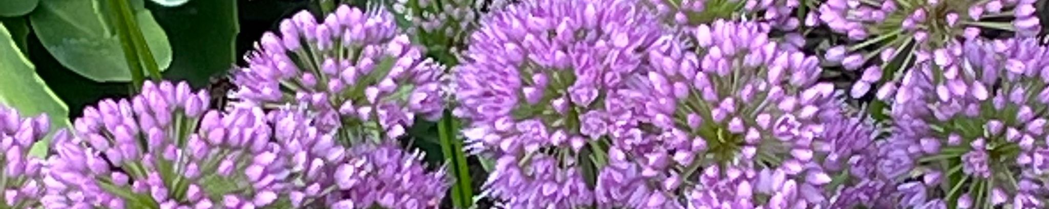 Cover photo for Patricia Hunstad's Obituary