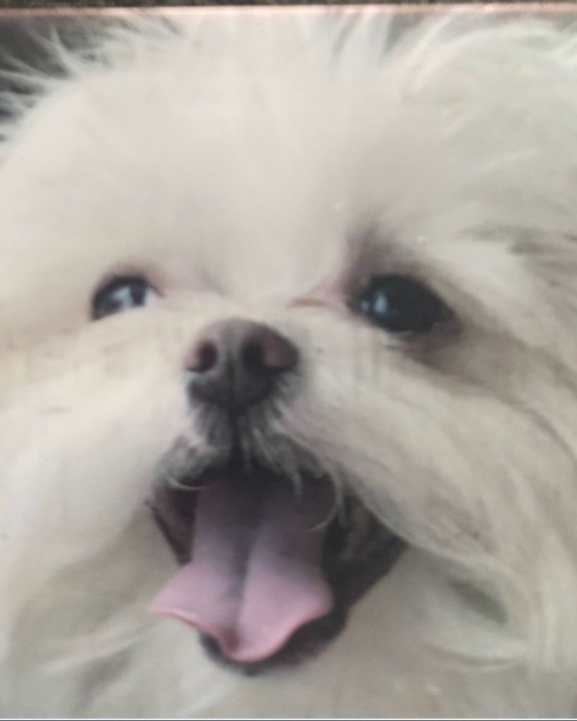 Junior Profile Photo