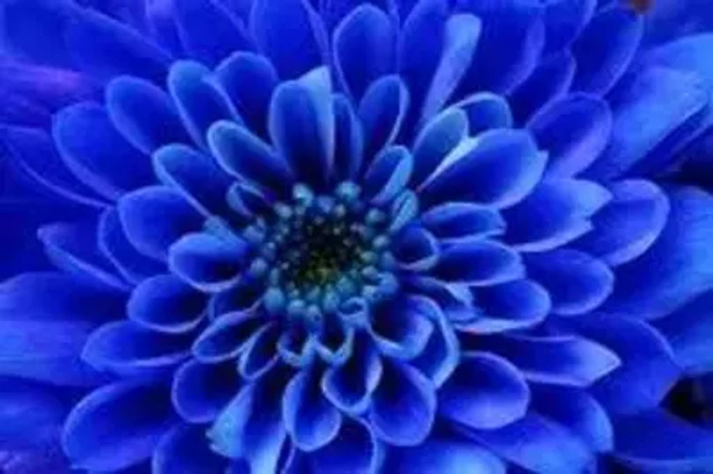 Leslie L. Hatt Profile Photo