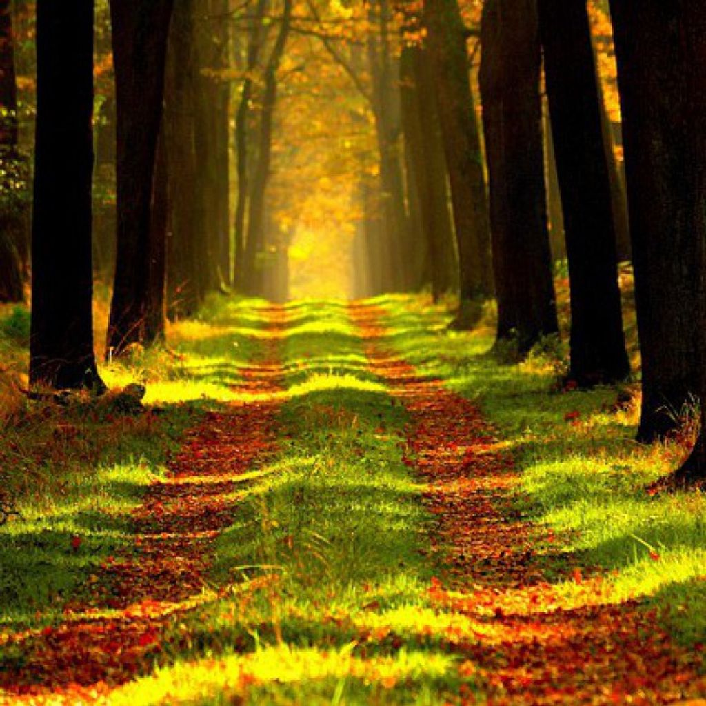 Peter I. Dumczyk Profile Photo