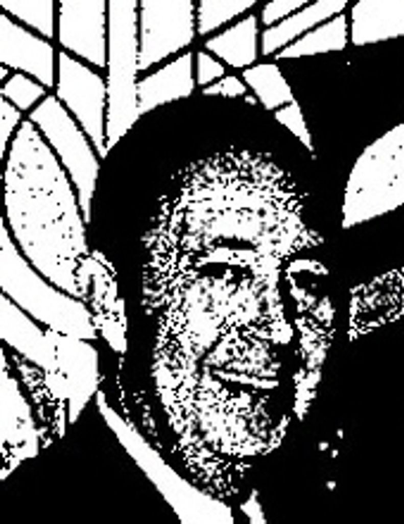 Michael J. Sassali