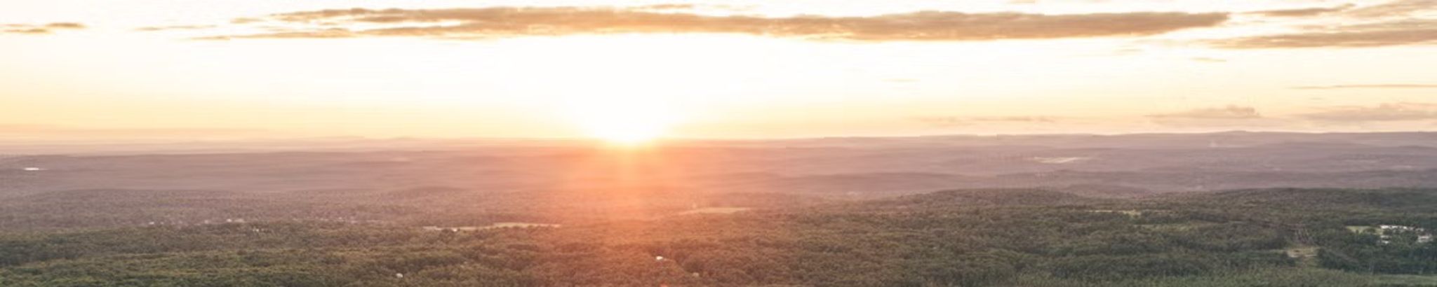 Cover for Domenick P. LaMacchia's Obituary