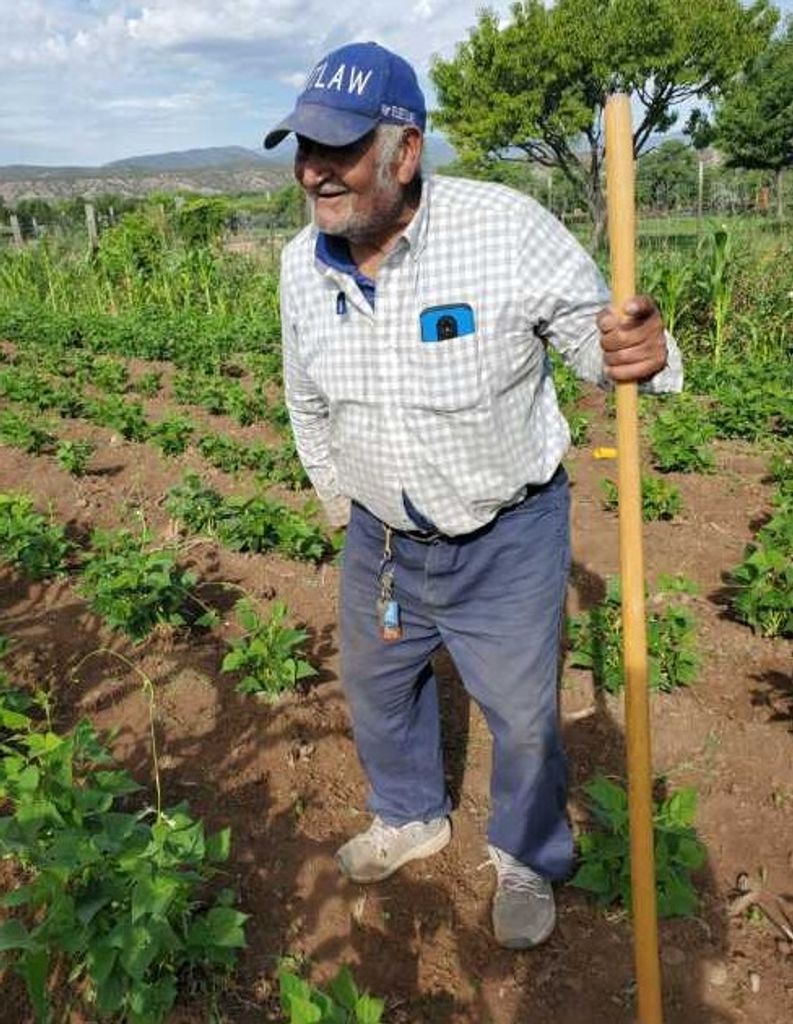 Reginaldo Carmona
