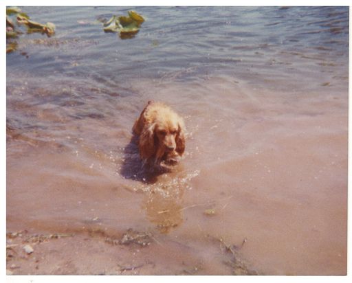 Gary L. Hall photo gallery thumbnail 80 of 354