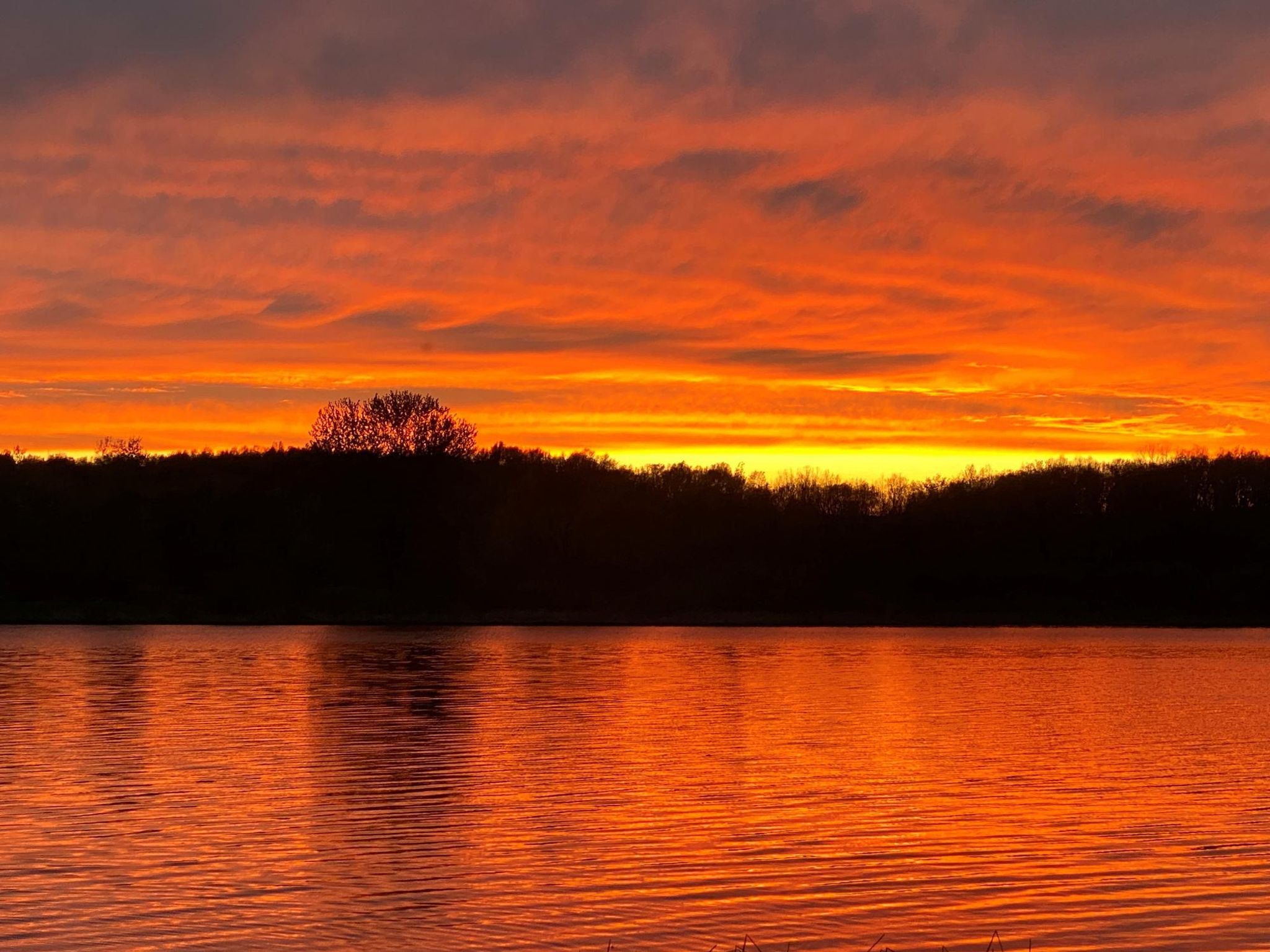 Cover for Wesley Duane Robinson's Obituary