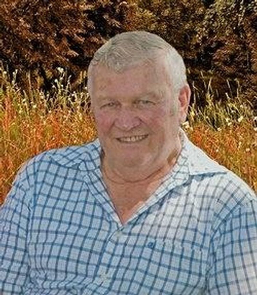 Donald F. Pauli Profile Photo