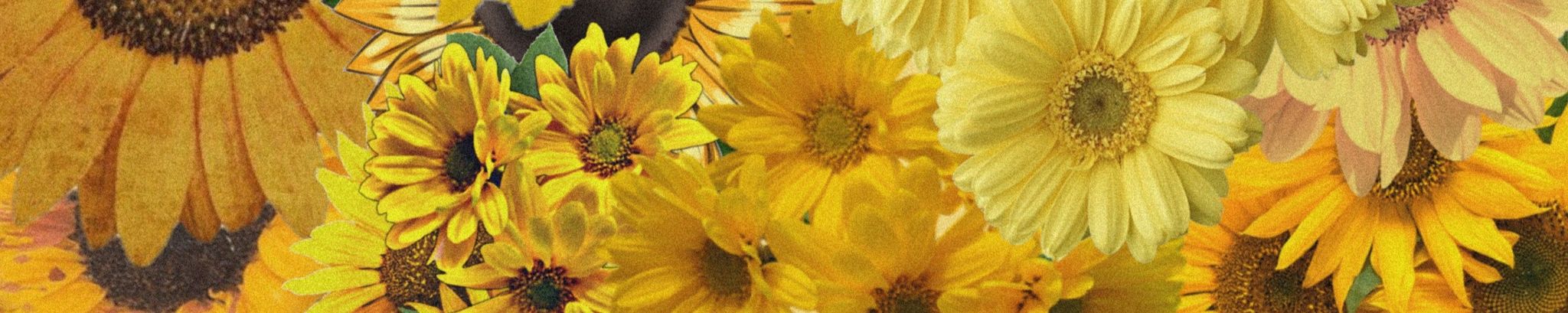 Cover photo for Diane Mary Godfrey's Obituary