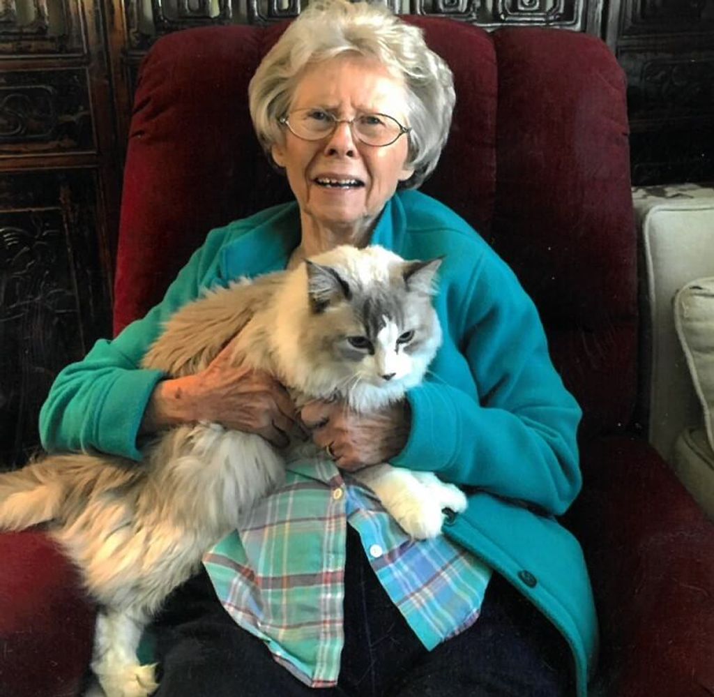 Mary  Ann Robinson