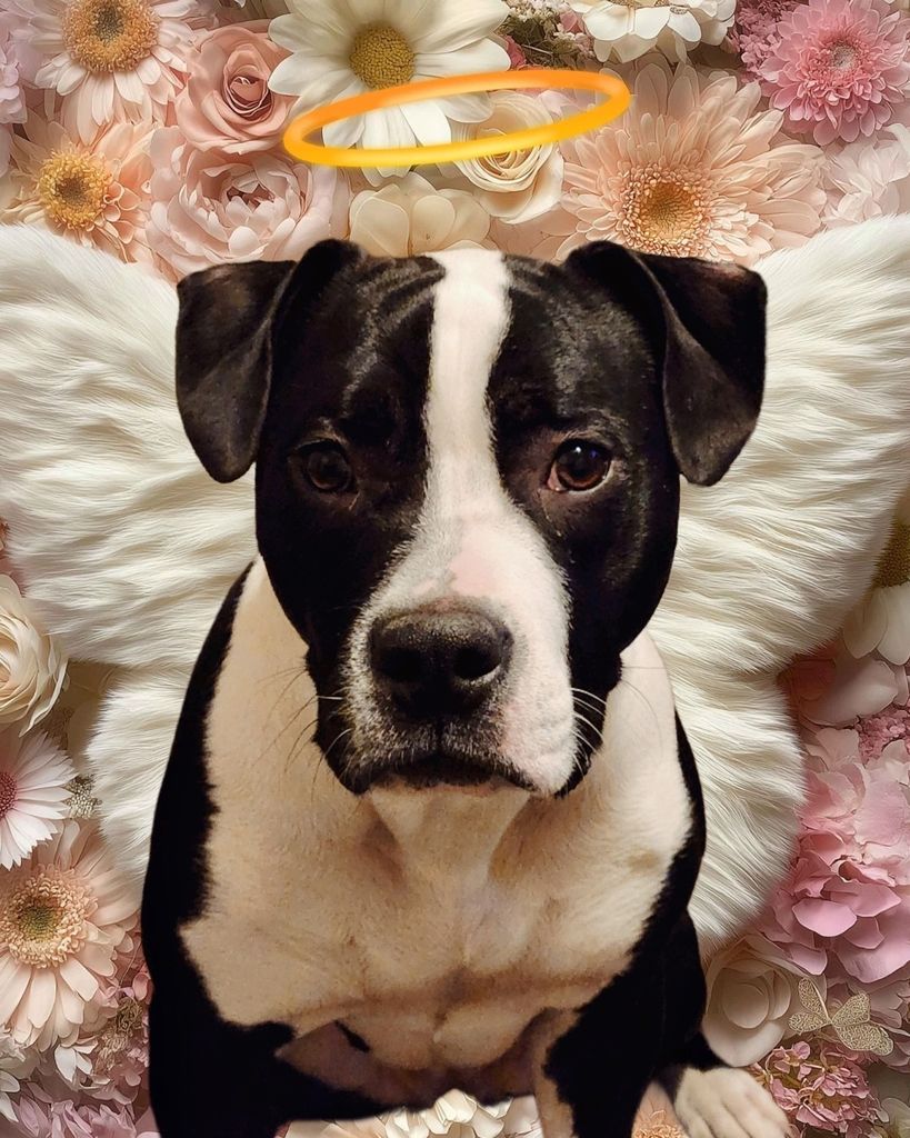 Lunai Rose Manuelito Profile Photo