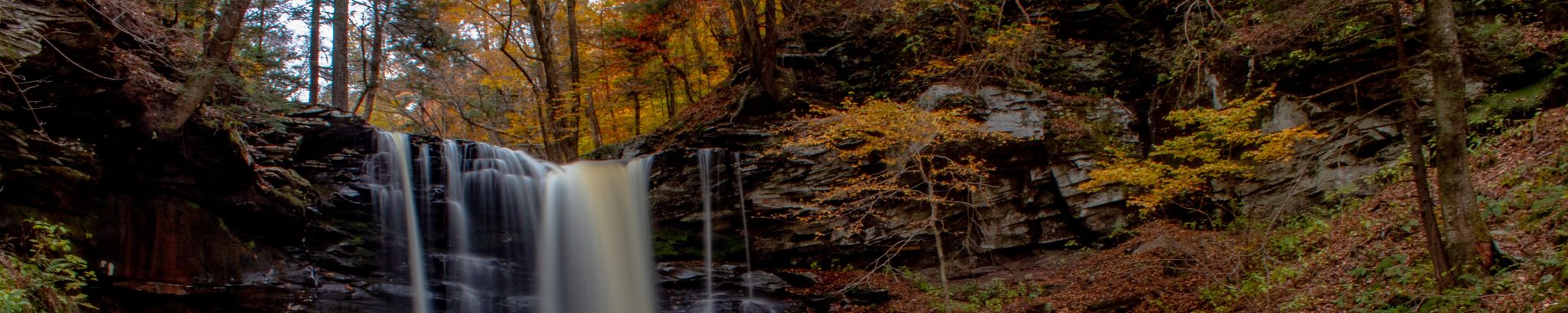 Cover photo for Marian Mitchell's Obituary