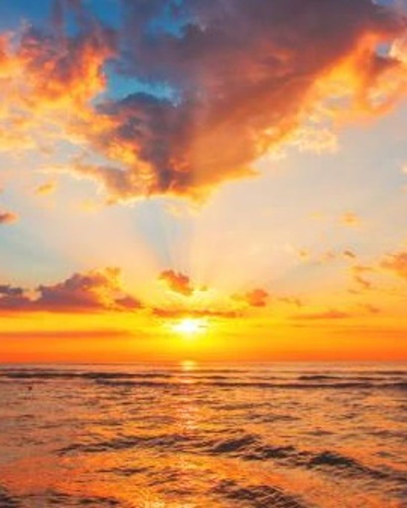 Diane S. Thorpe Profile Photo