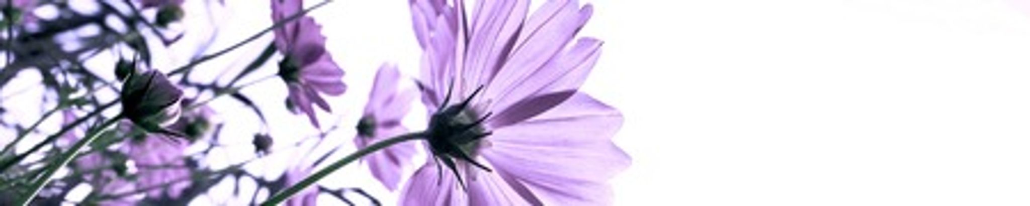 Cover photo for Deborah Jean Vigil's Obituary