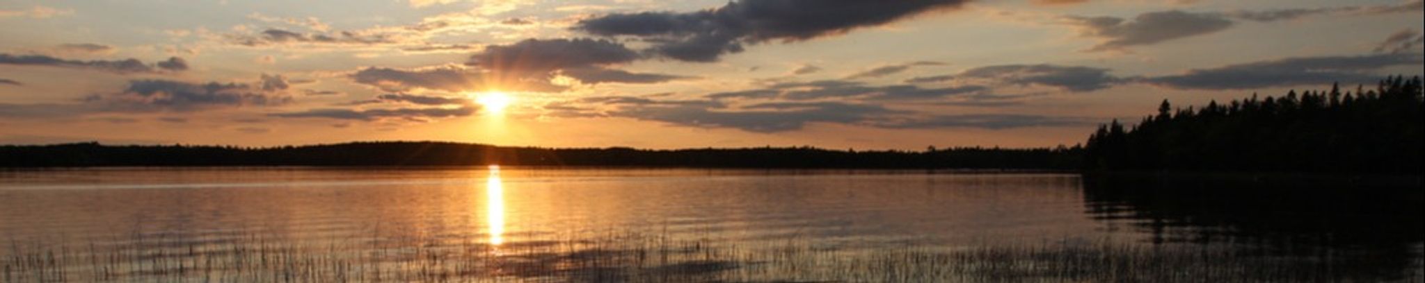 Cover for Sandra H. Rowley's Obituary