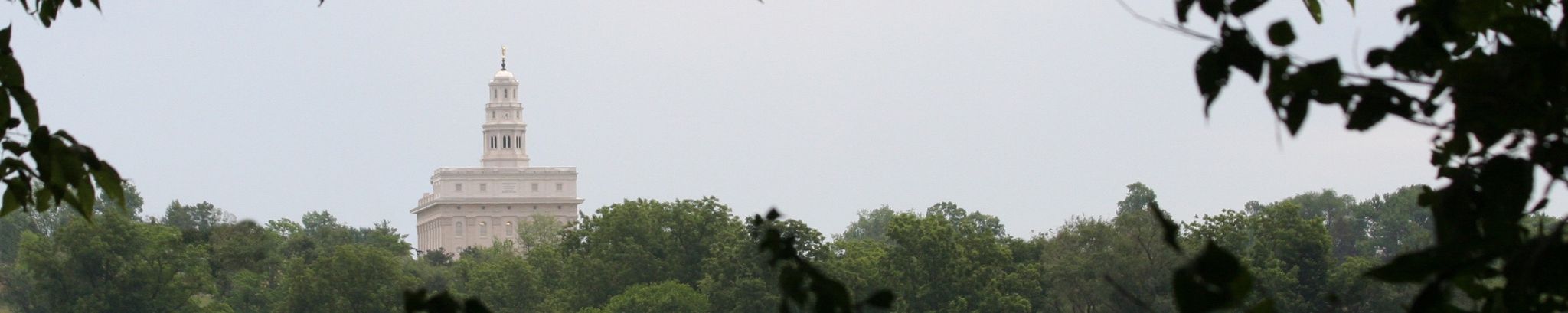 Cover for David Foster King's Obituary