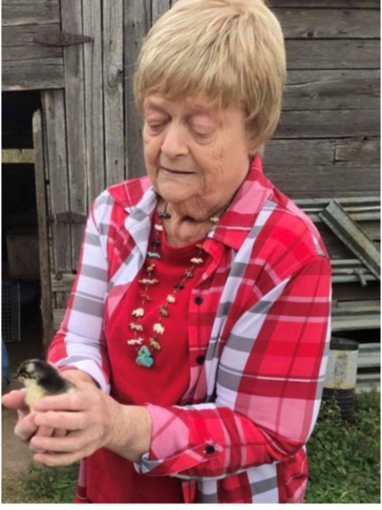 Donna McLendon Rosier Profile Photo