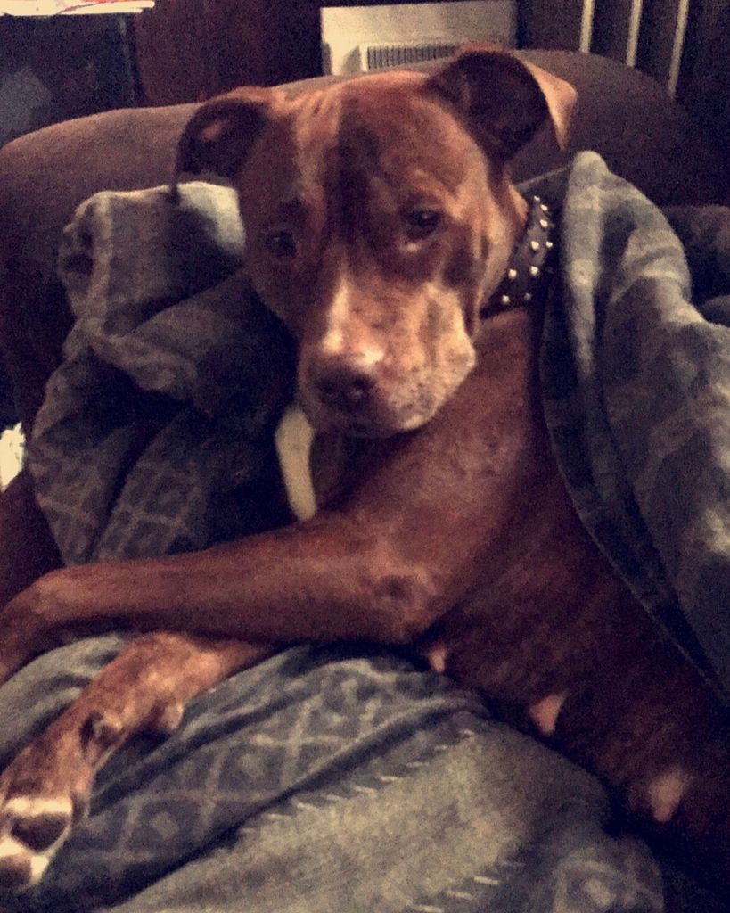 Momma Profile Photo