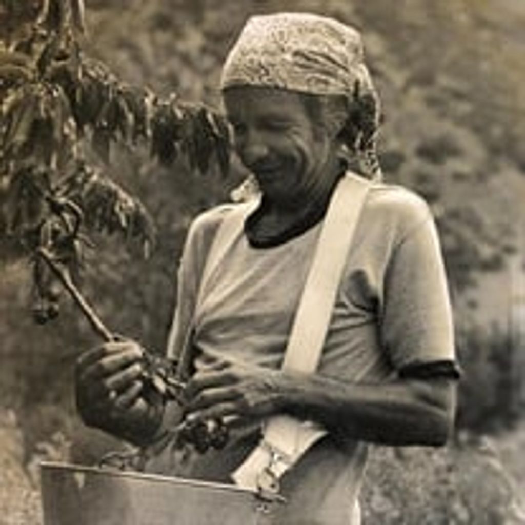 Raymond Paul Bilyard
