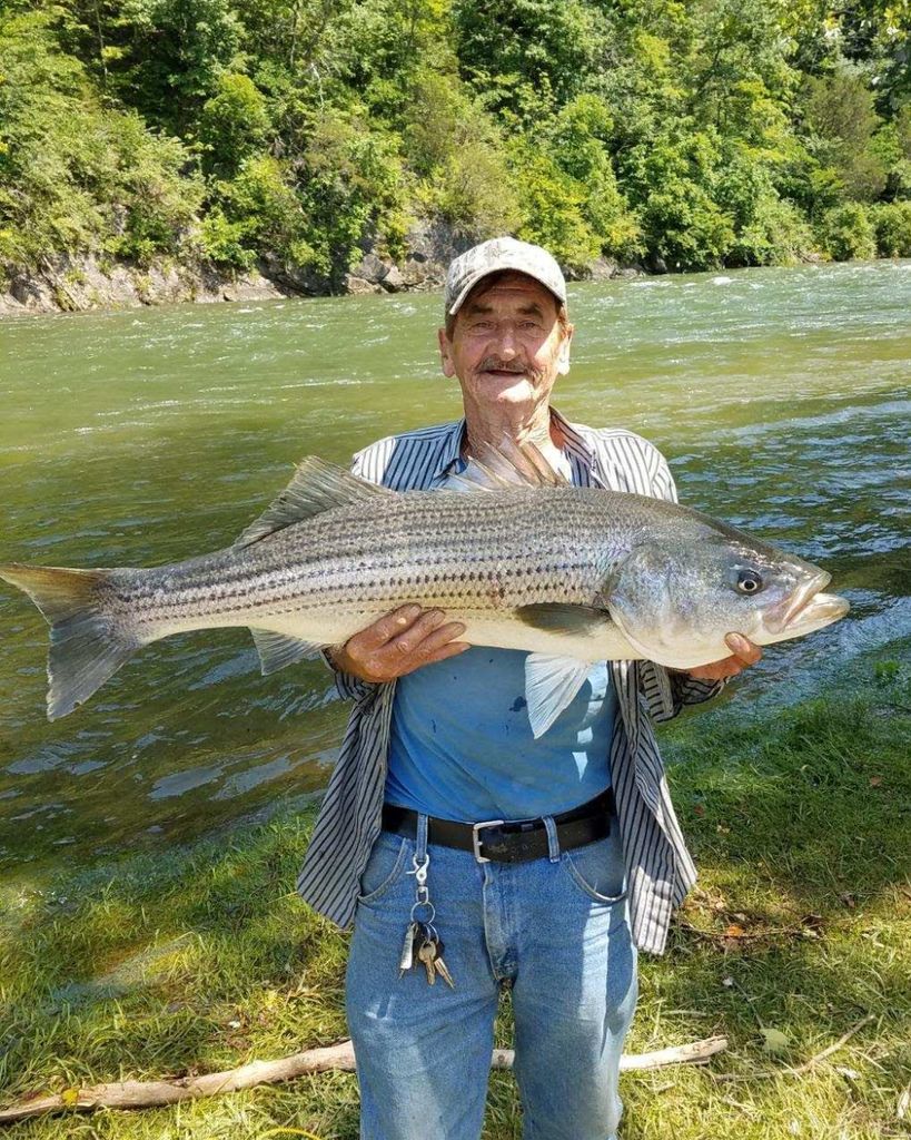 Jacob Hodge, Jr. Profile Photo