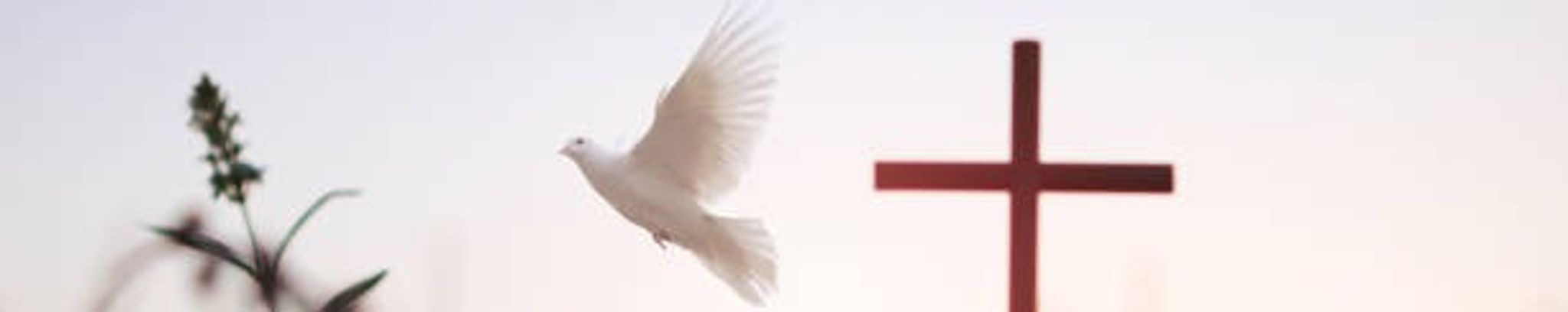 Cover photo for Sarah Louise Barnes Stallings's Obituary