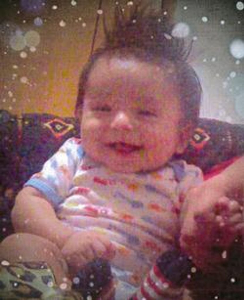 Hoksina Morning Star Weddell