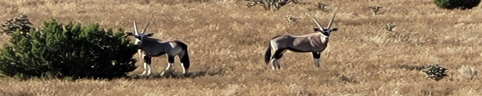 Cover for Aaron Nathan Gonzales's Obituary