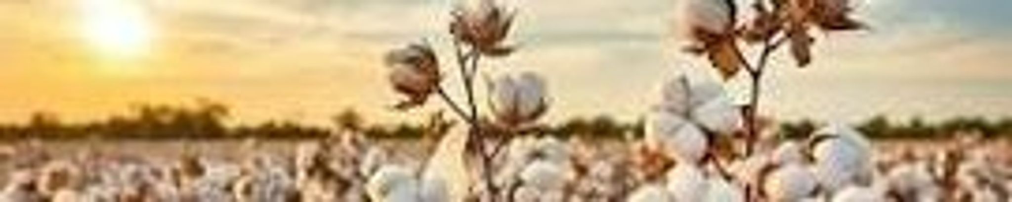 Cover photo for Gary Lee Kieffner, Sr.'s Obituary