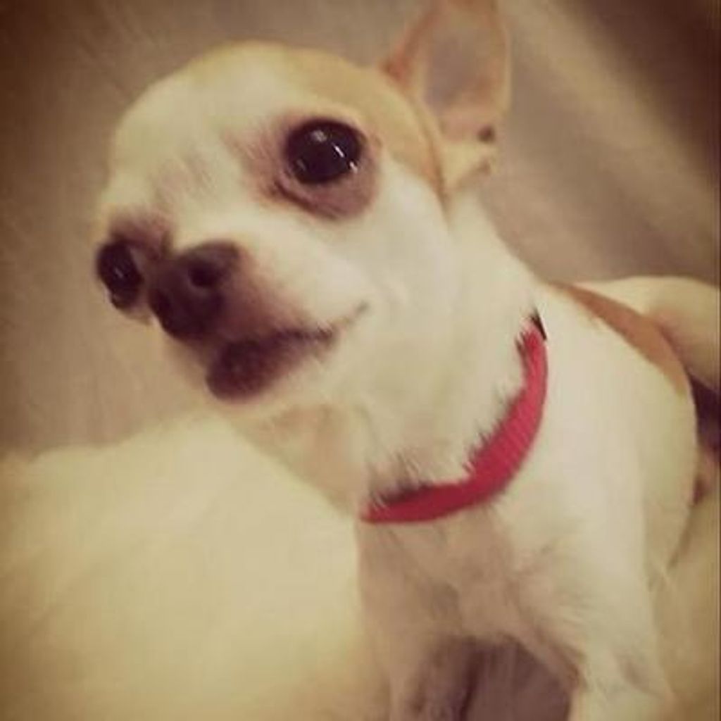 Killer Payne Profile Photo
