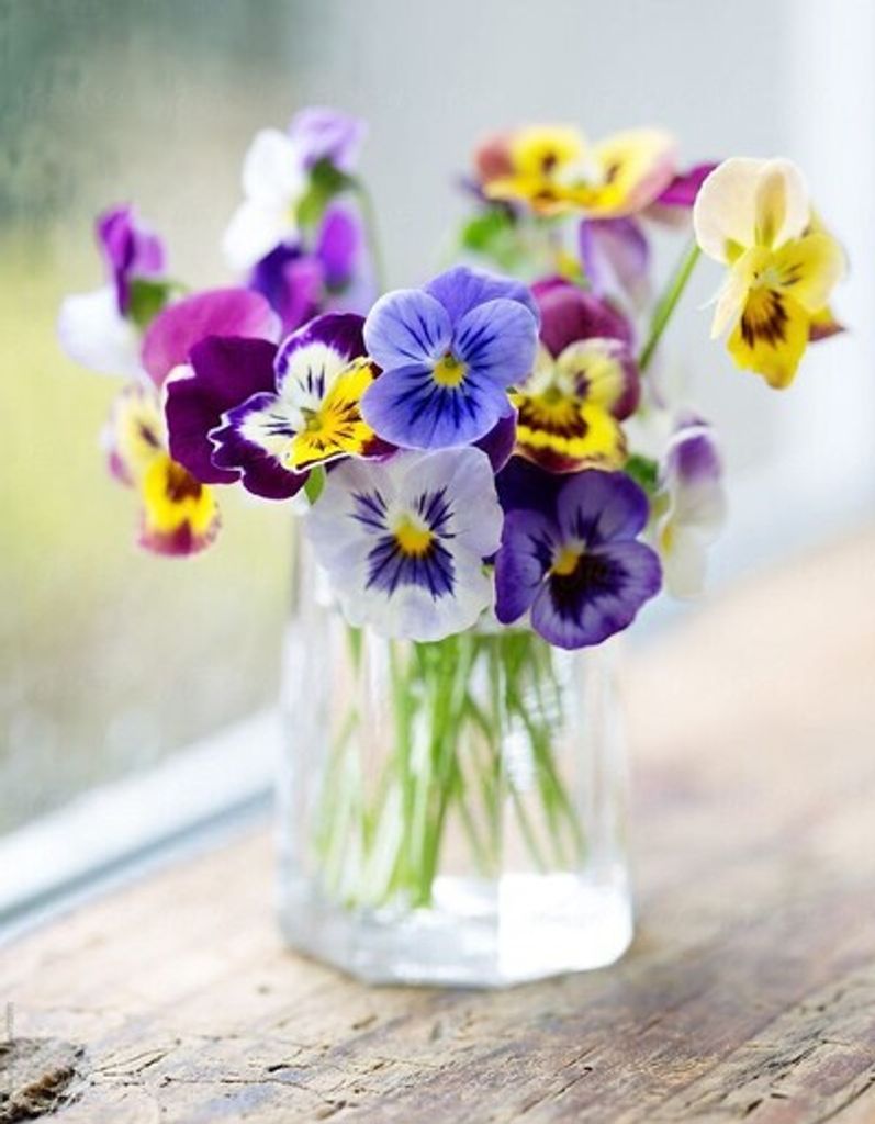 Eileen H. Phillips Profile Photo