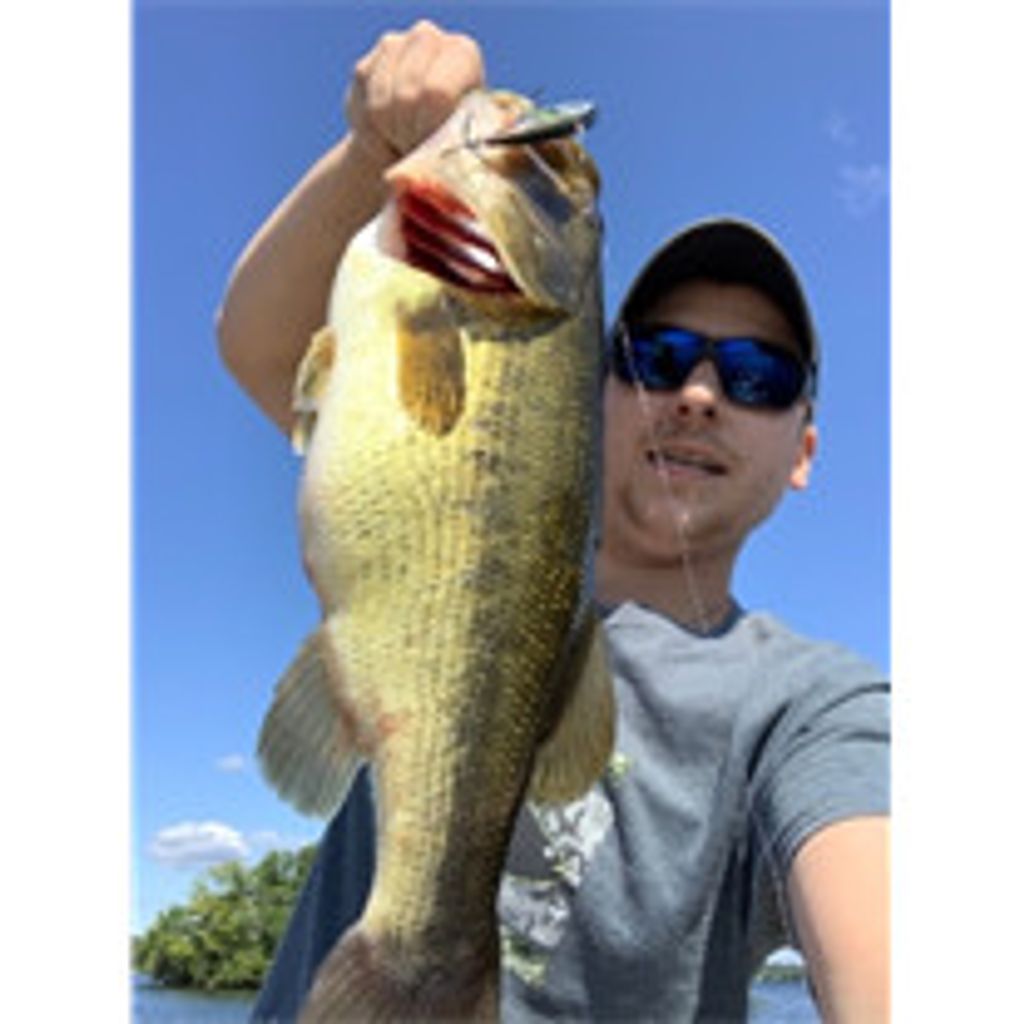 Alex D. Hare Profile Photo