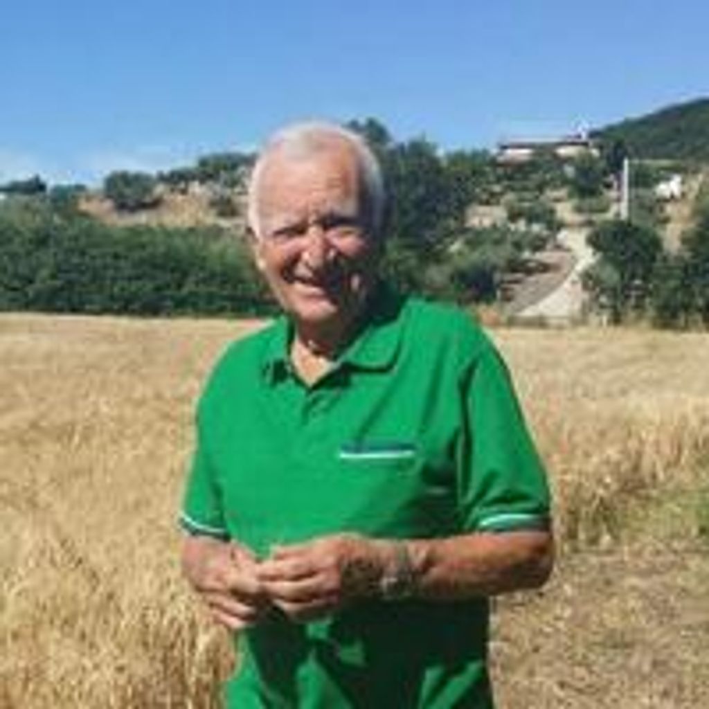 Mario Petrucci Profile Photo