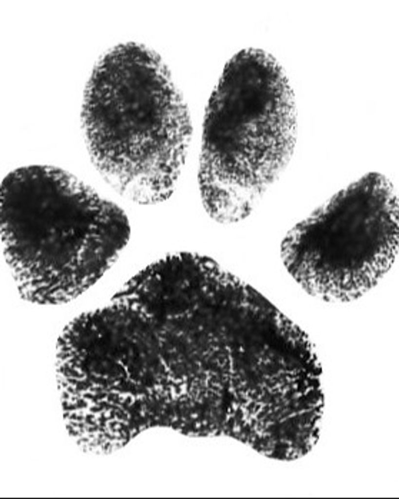 Sookie Jonas Profile Photo