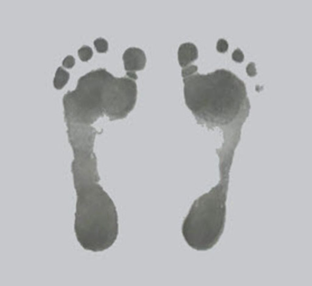 Kaitlyn Elizabeth Boerboom Profile Photo