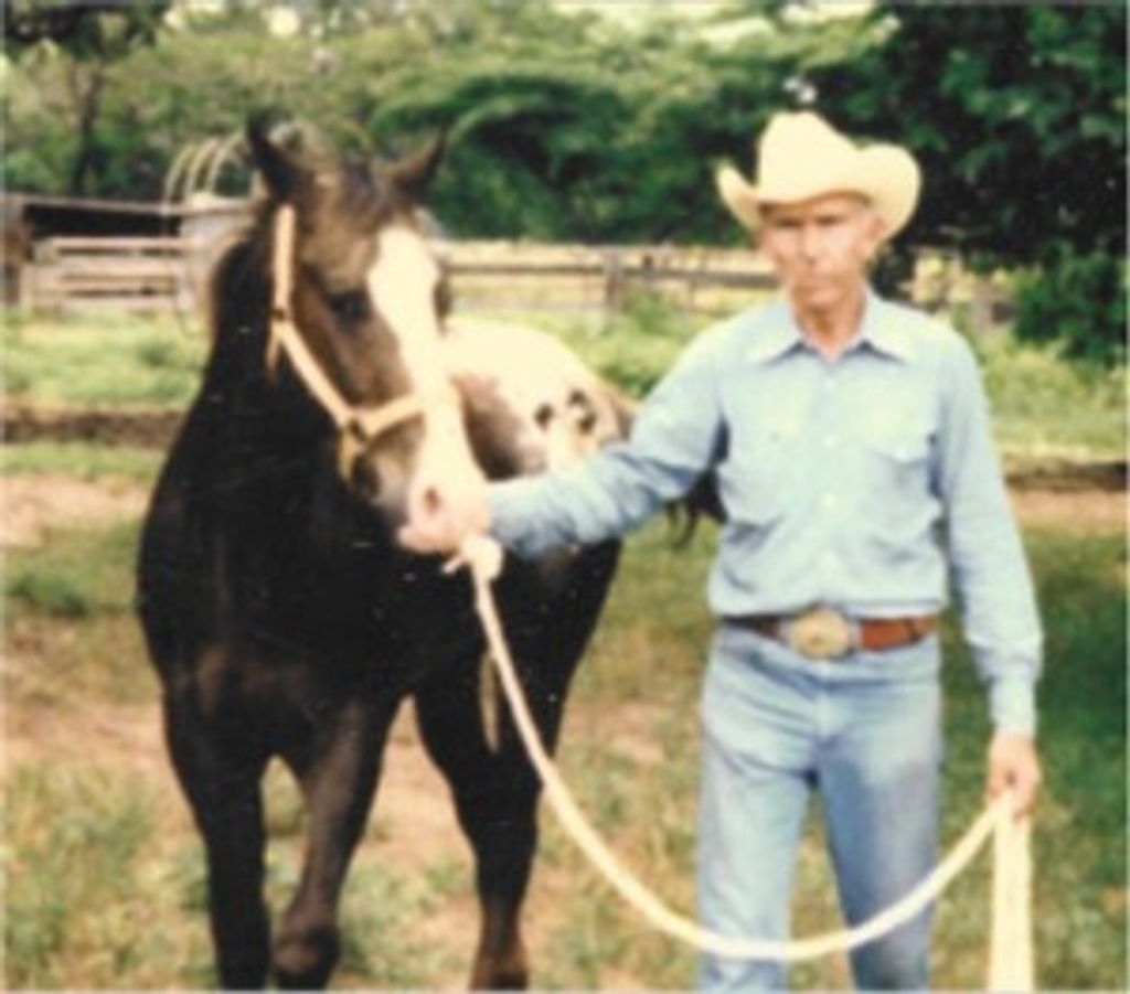 Eldridge E. Ogle
