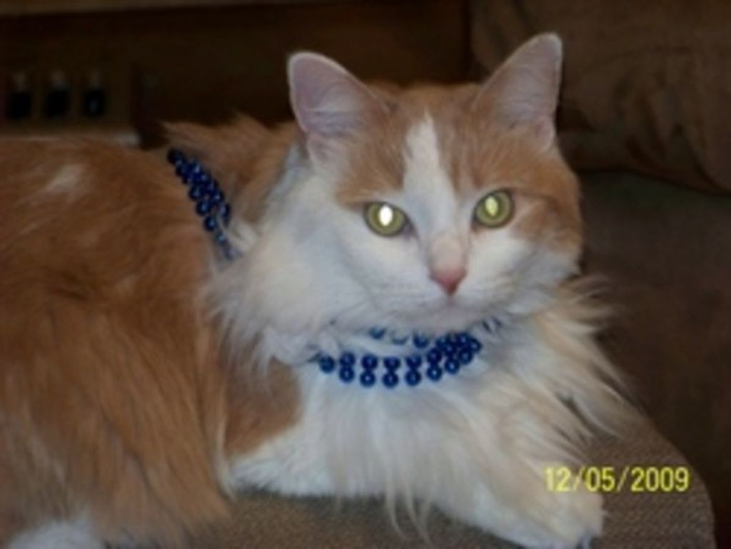 Pouncy Poole Profile Photo