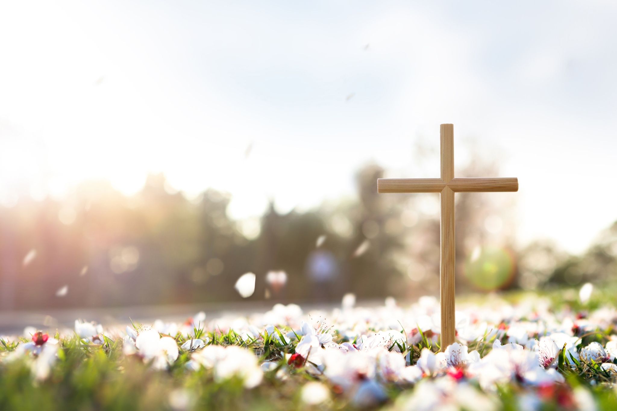 Cover photo for Mary Jane Escobedo's Obituary