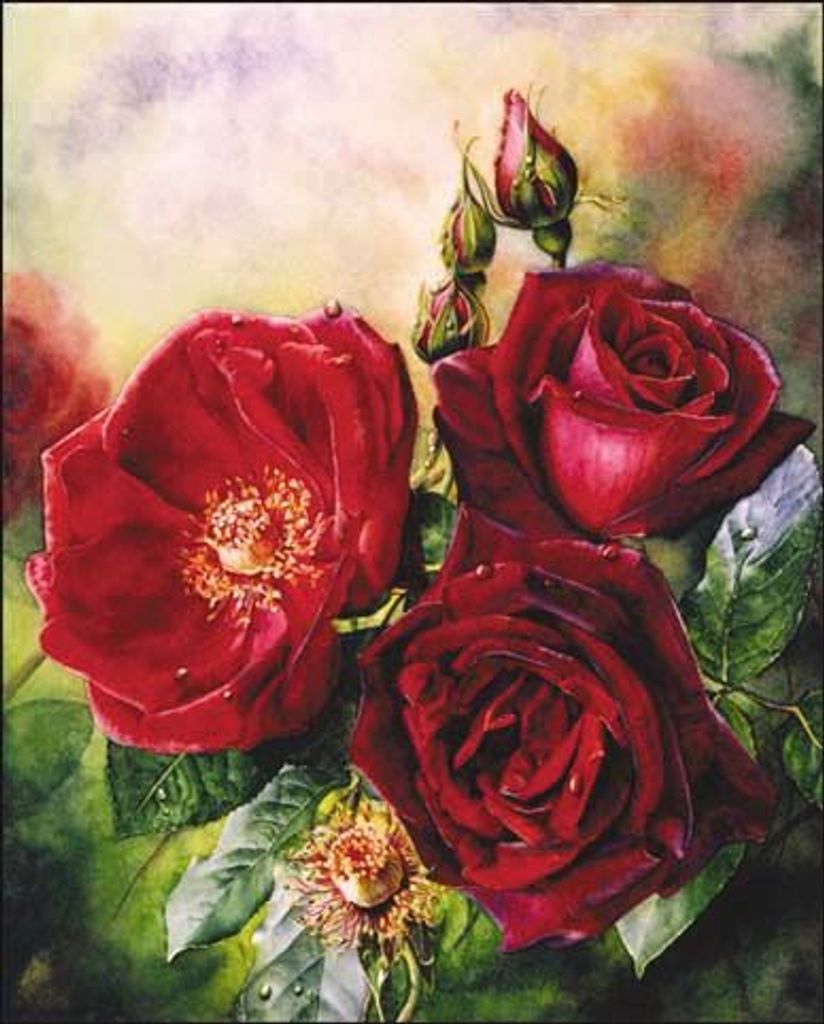 Doris Virginia Kirby Profile Photo