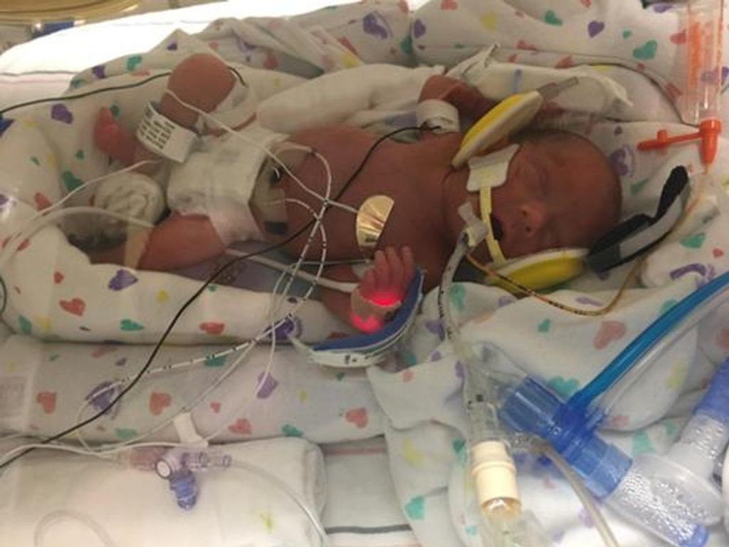 Bentley Wayne Meadows Profile Photo