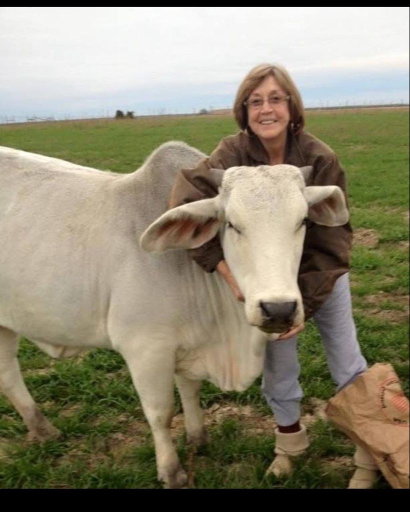 Ginger Ann Schneider Profile Photo