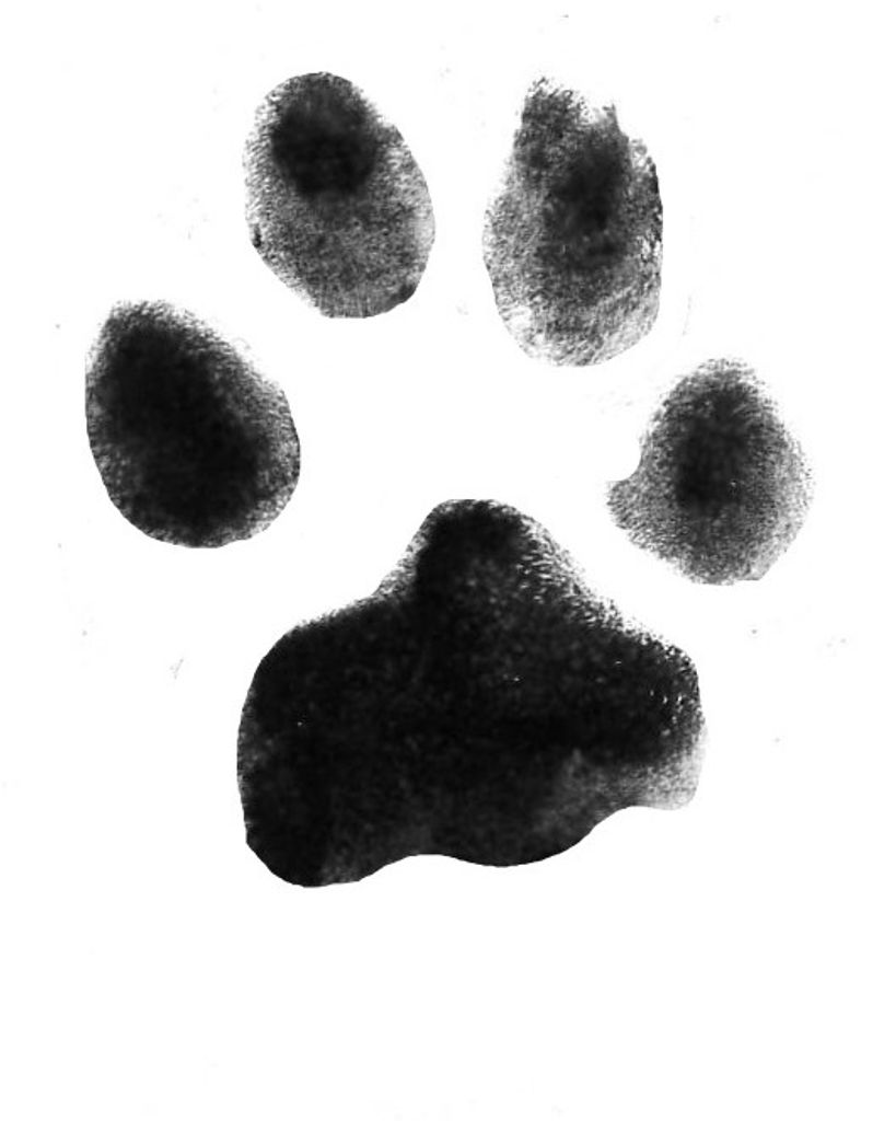Clementine Adams Profile Photo