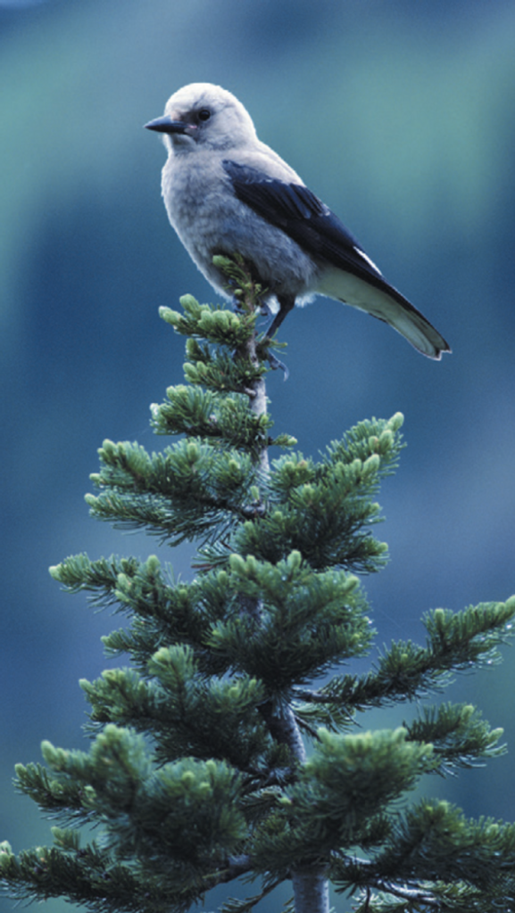 Sandra M. Mcgivern Profile Photo