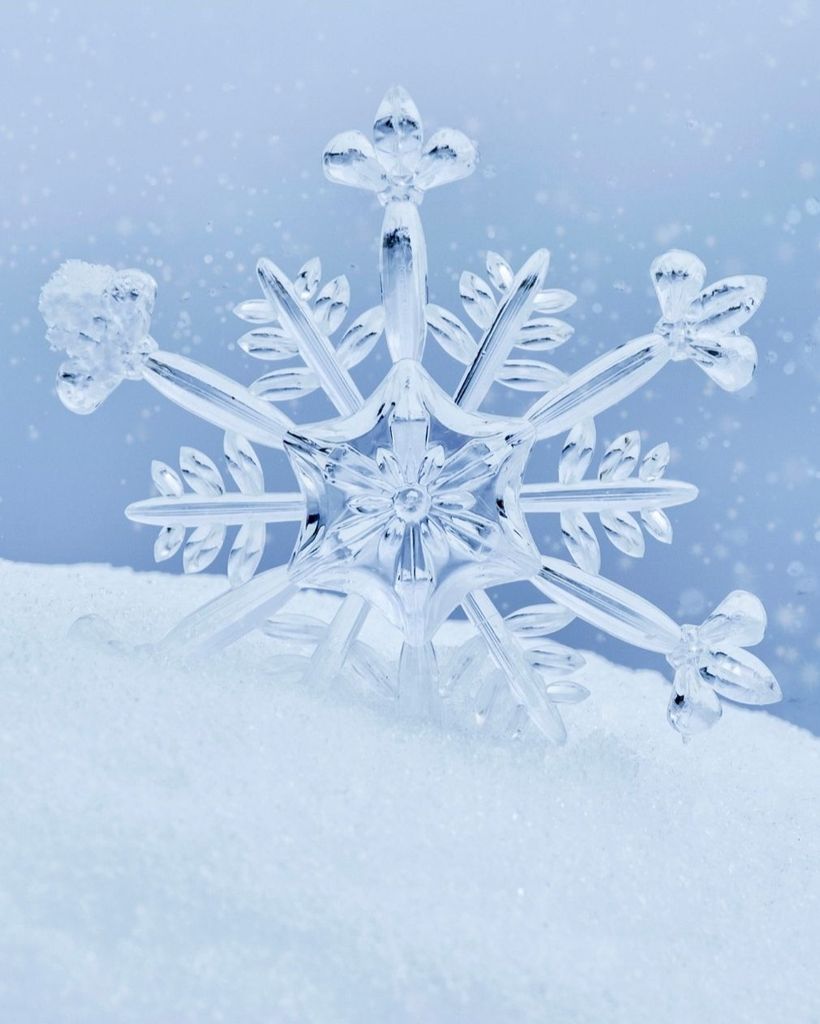 Shirley Ann Christensen Profile Photo