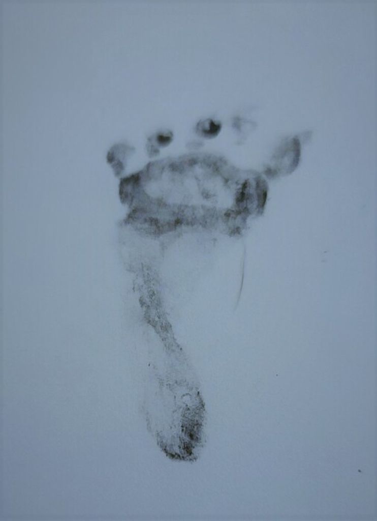 Kameron Walker Fluharty Sammons